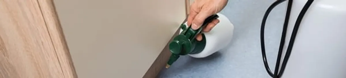 Bed bug exterminator treating baseboards and cracks with targeted spray in Fort Wayne, IN