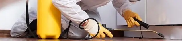 Roach exterminator treating cracks and crevices along kitchen baseboards in Fort Wayne, IN