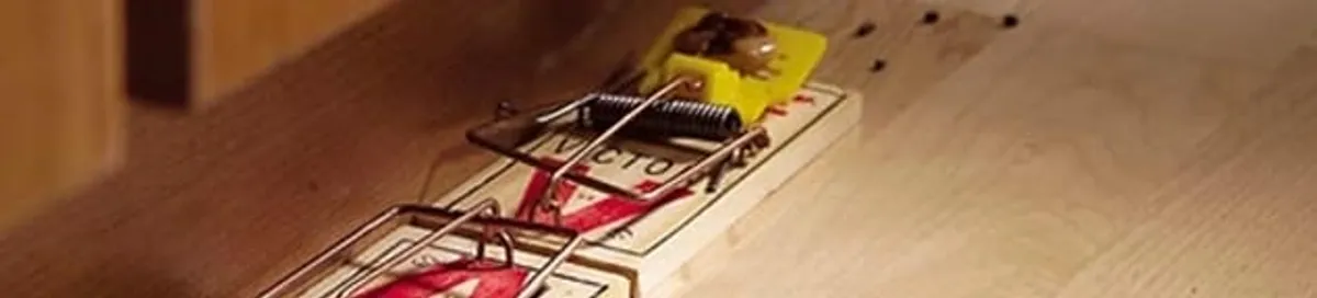 Rodent trap set indoors for rodent control and prevention in Fort Wayne, IN